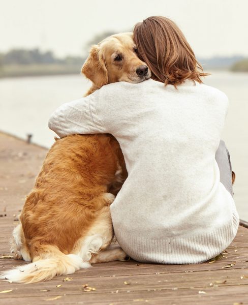 Dog Blog