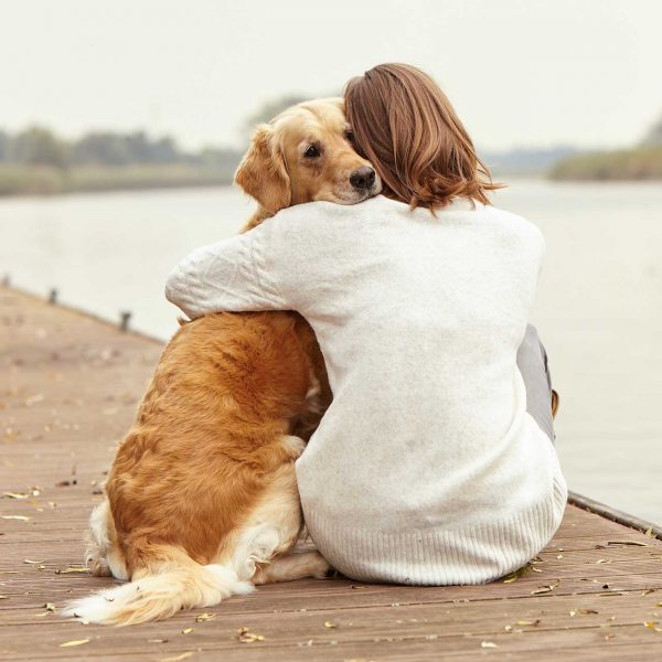 Dog Blog